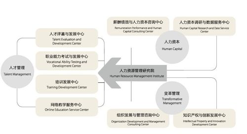 人力资源管理咨询业务——中国行业领先的人力资源整体解决方案提供商